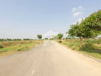 Affordable Residential Plot Of 5 Marla Is Available For sale