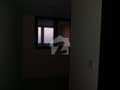 5 5