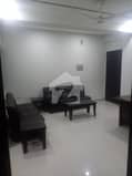 6 6