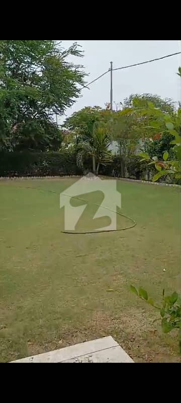 COMPACT HOUSE HUGE LUSH GREEN LAWN COMPACT HOUSE HUGE LUSH GREEN LAWN