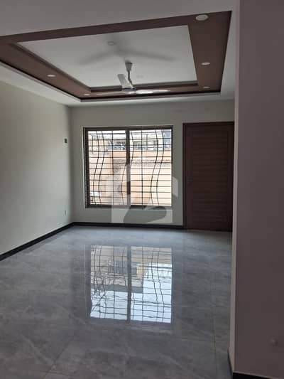 Brand New Ground Portion For Rent