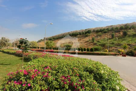 Naya Nazimabad | Block D | 160 SQYD | 40ft Road + KE Charges Paid