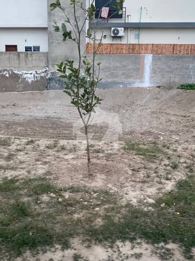 Prime Location 5 Marla Residential Plot For Sale In Park View City
