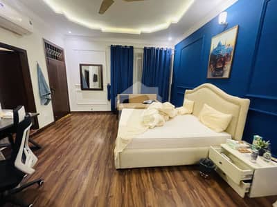 Luxury Furnished House