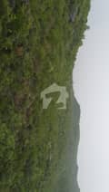 20 