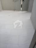 5 5
