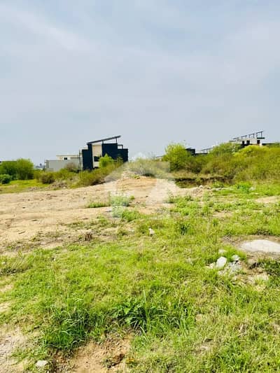 This Is Your Chance To Buy Residential Plot In D-12/1 Islamabad