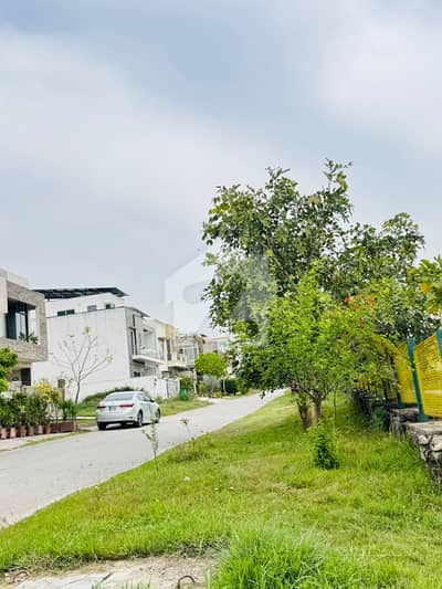 Get In Touch Now To Buy A 1000 Square Feet Residential Plot In D-12/4