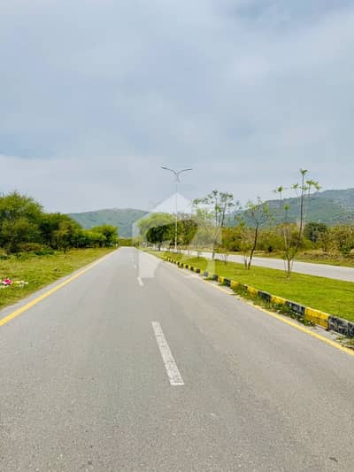 Residential Plot Of 1000 Square Feet For sale In D-12/1