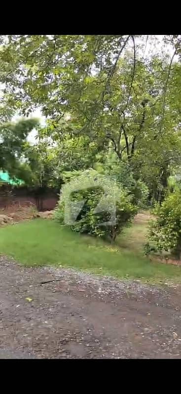 Model Town 1 Kanal Single-Storey House for Sale