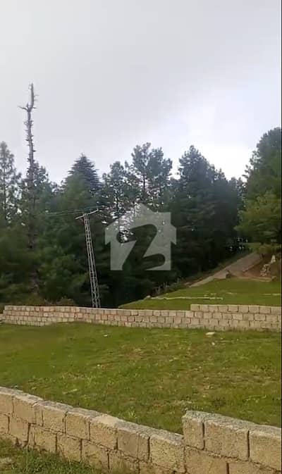 30 Marla Prime Roadside Plot For Sale Kalabagh, Nathia Gali