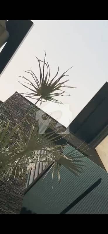 1 Kanal graystracture residantal house for sale