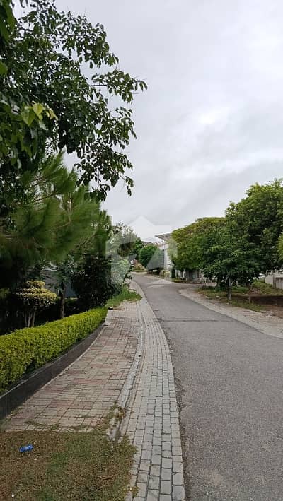 1 Kanal Prime Plot for Sale DHA Phase 5 Sector C