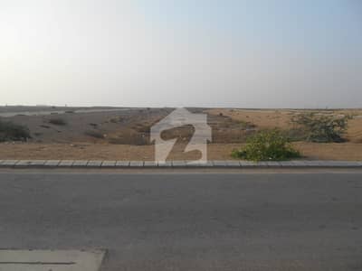 SAHIL STREET 300 Yards Residential Plot For Sale.