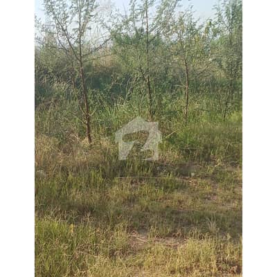 13 Marla Back Open Heighted Location Plot For Sale