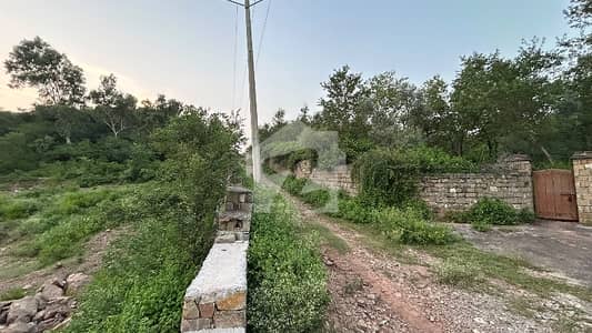 تمير اسلام آباد میں 8 کنال رہائشی پلاٹ 5.2 کروڑ میں برائے فروخت۔