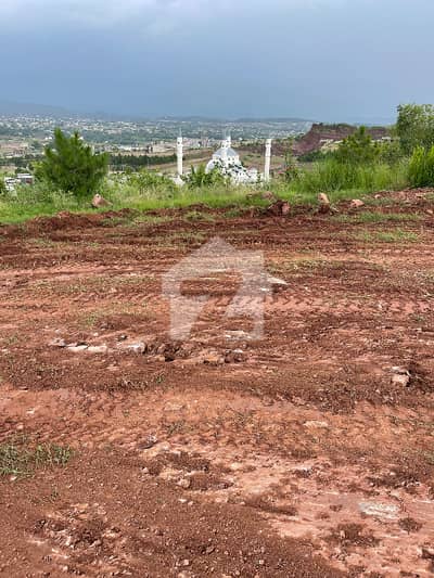 1 Kanal Terrace Plot Back Open E Block Heighted Plot DC Paid All Dues Clear