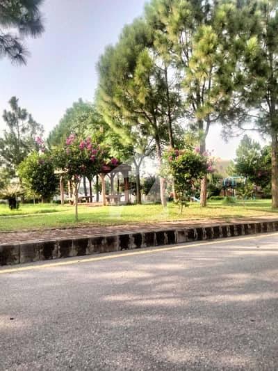 Bahria Intellectual Village Plot For Sale