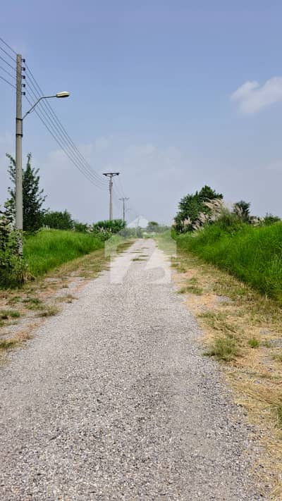 11 Marla Plot For Sale And Beautiful Location