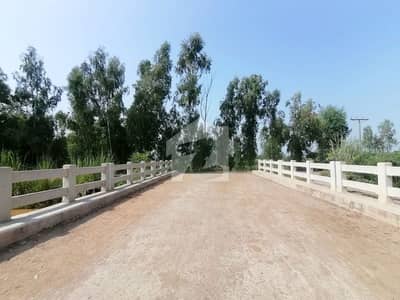 Main Double Road Farm House For sale In Canal View Farms