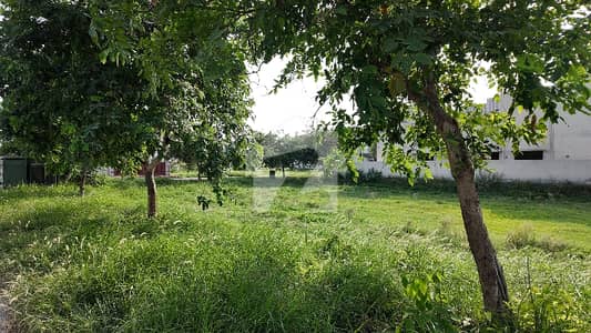 A Perfect Corner Residential Plot Awaits You In DHA Phase 7 - Block Q Lahore A Perfect Corner Residential Plot Awaits You In DHA Phase 7 - Block Q Lahore