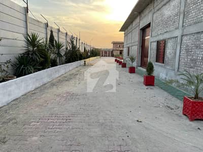 ترنول اسلام آباد میں 3 کنال Studio گودام 8.5 لاکھ میں کرایہ پر دستیاب ہے۔