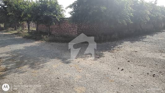 Orchard Green 4 Kanal Plot