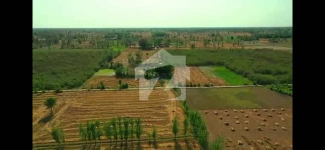 پھالیہ منڈی بہاؤالدین روڈ منڈی بہاؤالدین میں 656 کنال زرعی زمین 16.4 کروڑ میں برائے فروخت۔ پھالیہ منڈی بہاؤالدین روڈ منڈی بہاؤالدین میں 656 کنال زرعی زمین 16.4 کروڑ میں برائے فروخت۔
