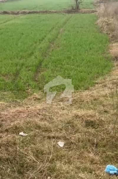 36 Marla Commercial Plot 65 Feet Front Main Jalapur Road
