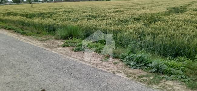 بیدیاں روڈ لاہور میں 48 کنال زرعی زمین 8.1 کروڑ میں برائے فروخت۔