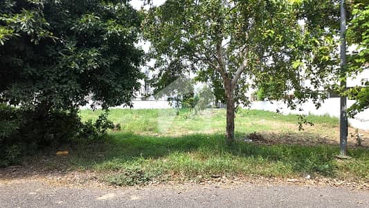 Phase 6 L Block Near Park Hot Location Plot