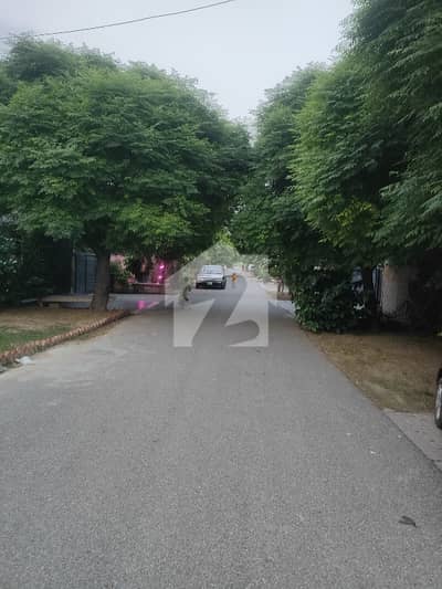 5-Marla Well Maintained Single Storey House For Sale In Khayaban-e-Amin Housing Society, Lahore. 5-Marla Well Maintained Single Storey House For Sale In Khayaban-e-Amin Housing Society, Lahore.