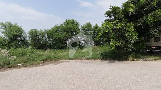 Prime Location Plot For Sale In Sector F DHA 1 Islamabad
