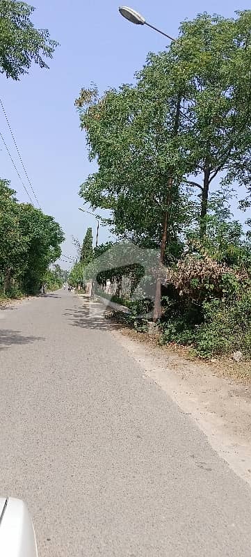 This Is Your Chance To Buy Farm House In Chak Shahzad