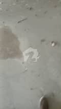 4 4