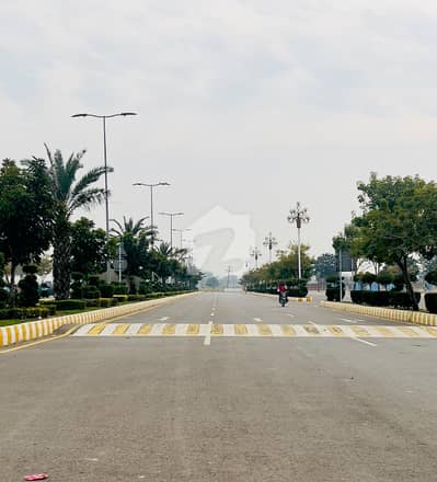 9.77 Marla Plot60 feet Road For Sale In Dream Gardens Phase 2