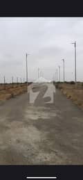 1 1