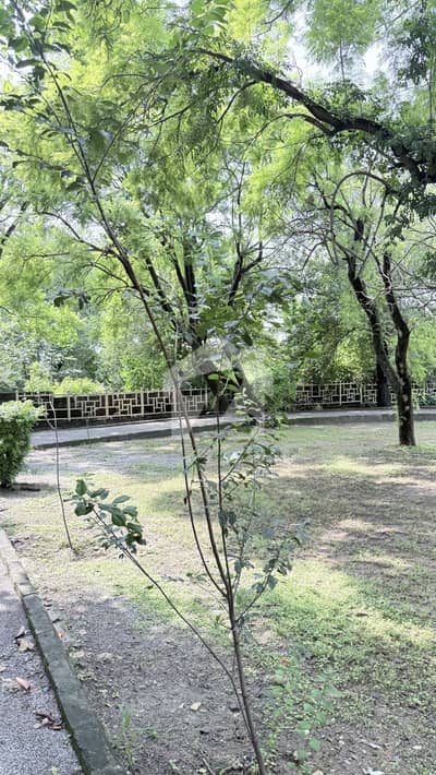 10 MARLA CORNOR PLOT FOR SALE D BLOCK TOPCITY