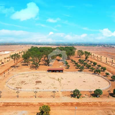 Prime Location Plot Is Available