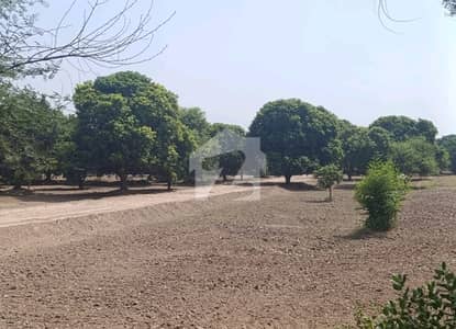 Prime Location Farm House Plot For Sale In Beautiful Budla Road