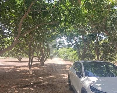 Prime Location Farm House Plot For Sale In Beautiful Budla Road