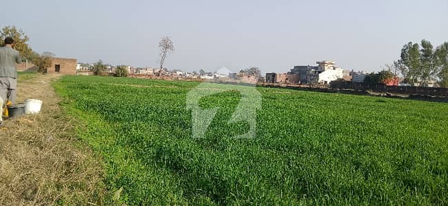 Prime Location Main Ferozpur Road Front Golden Opportunity For Commercial Activities. Even If Someone Ask For Half Land, They Get It Prime Location Main Ferozpur Road Front Golden Opportunity For Commercial Activities. Even If Someone Ask For Half Land, They Get It
