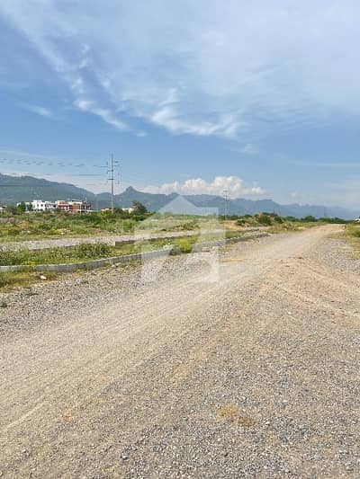 C15 Double Road Plot