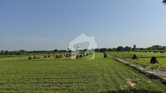 100 Acr At Thanranda Muhammad Panah