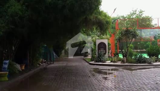 GULBERG 3 GHALIB ROAD 25KANAL HOSE