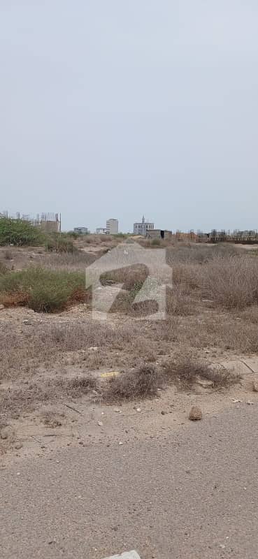 1000 square yards plot west open available for sale in phase 8