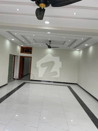 House Available For Rent In D-12/2