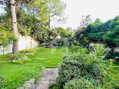 Offering A Spacious House With Beautiful Garden Available For Rent.