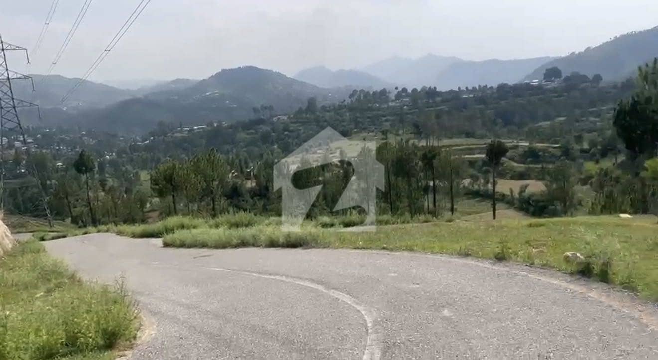 1 1