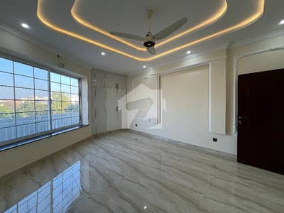 Brand New Basement